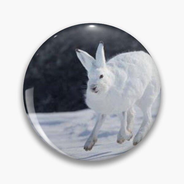 Item preview, Nice arctic hare. designed and sold by Lan thi Nguyen.