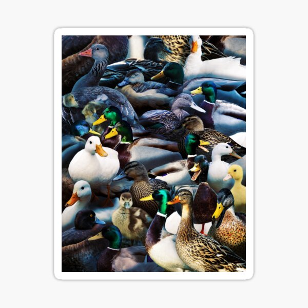 Item preview, Ducks designed and sold by MaxencePierrard.