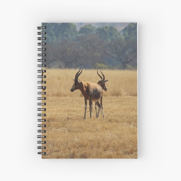 The Safari Spiral Notebook