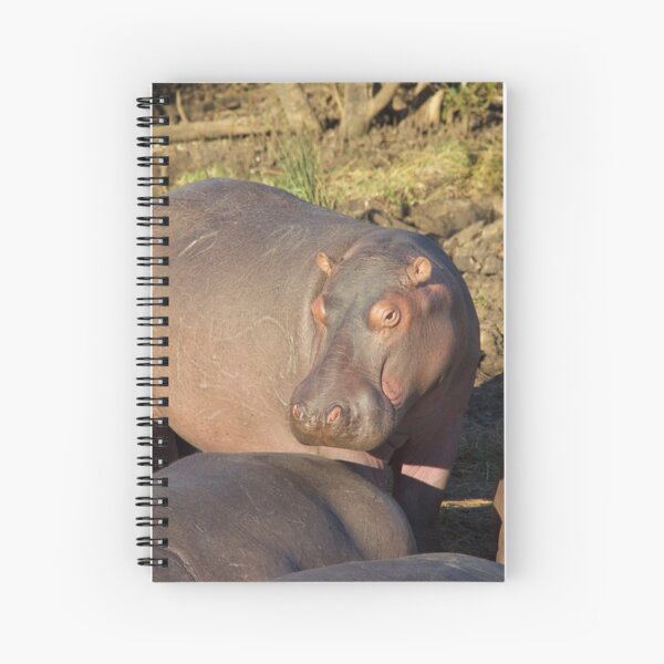 Hungry Hippos Spiral Notebook