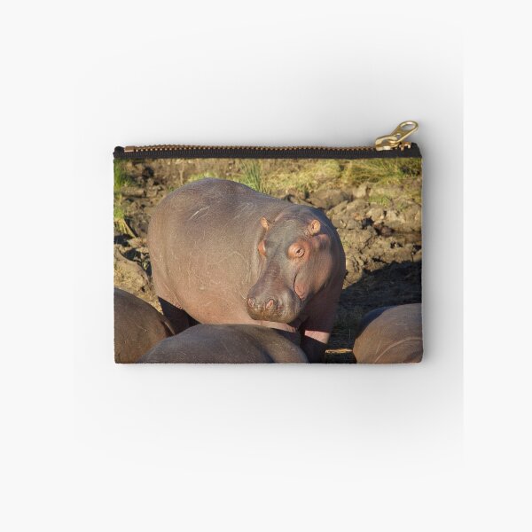Item preview, Hungry Hippos designed and sold by Raquel Fletcher.
