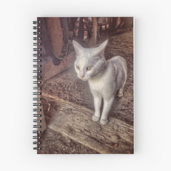 Item preview, A Cat in a barn designed and sold by Raquel Fletcher.