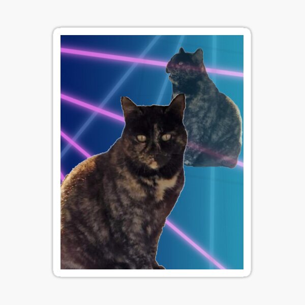 Molly Sticker