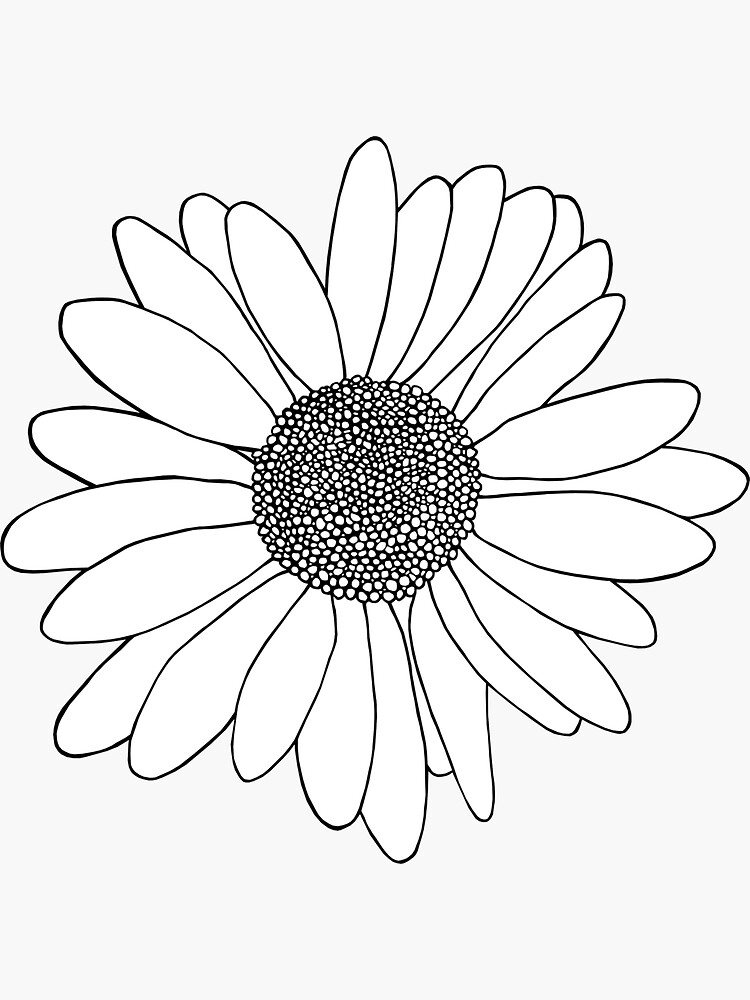 Daisy Boarder by ProjectM