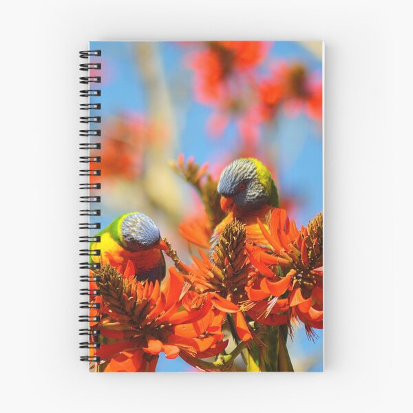 Item preview, A Pair Of Rainbow Lorikeets designed and sold by TheInsectDiary.