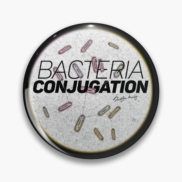 Item preview,  Bateric Conjugation designed and sold by LuigiSuglia.