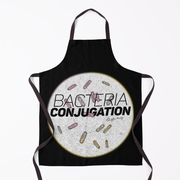 Item preview, Bateric Conjugation designed and sold by LuigiSuglia.