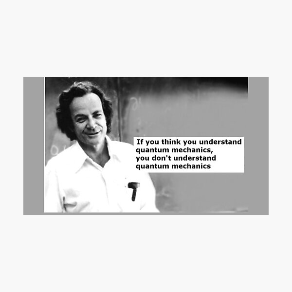 Item preview, Professor Feynman designed and sold by magnetarball.