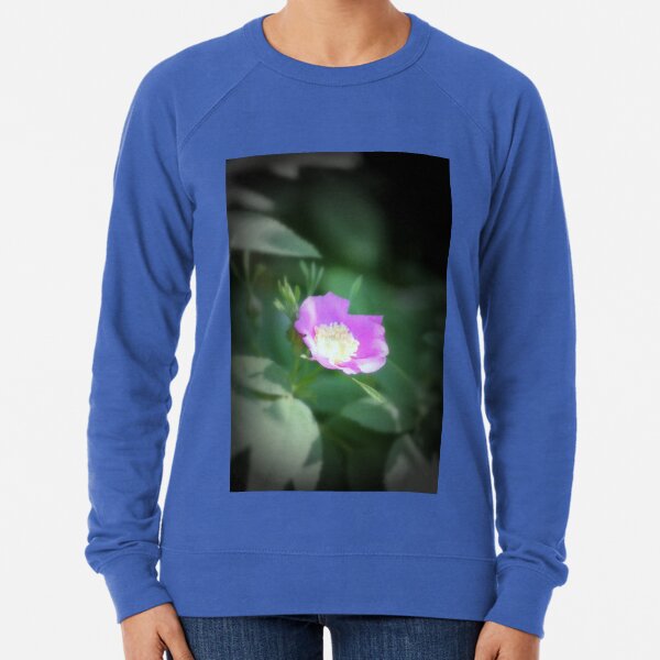 Old fashioned pink rose, near Trojan pond, Oregon Lightweight Sweatshirt