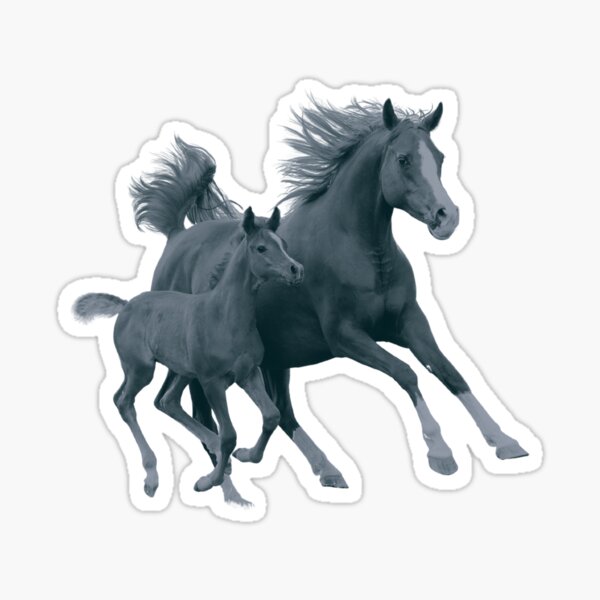 Star stable horses Sticker