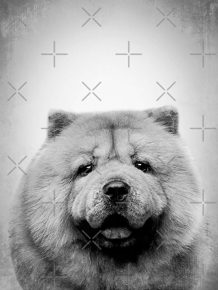 Chien Chow Chow BW Vintage D22 Poster