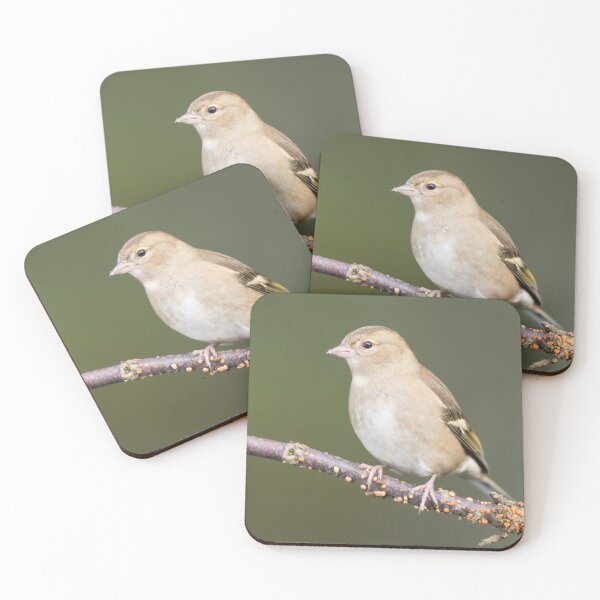 Item preview, Juvenile chaffinch designed and sold by chanonry.