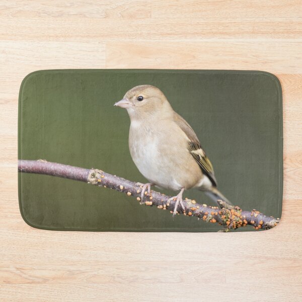 Item preview, Juvenile chaffinch designed and sold by chanonry.