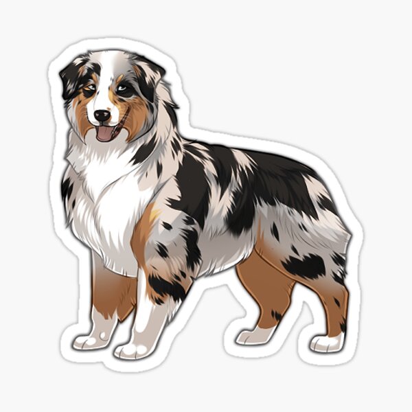 Sticker pour boîte aux lettres, chien Berger Australien – STICKERCB