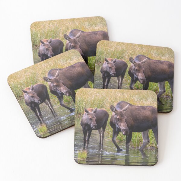 Item preview, Rocky Mountain Moose designed and sold by dawn2dawn.