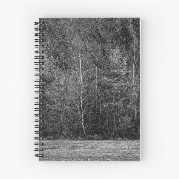 Item preview, Forestry around Bargoed South Wales designed and sold by VnGphoto.
