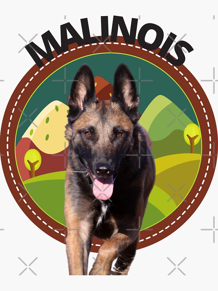 Mountain malinois best sale