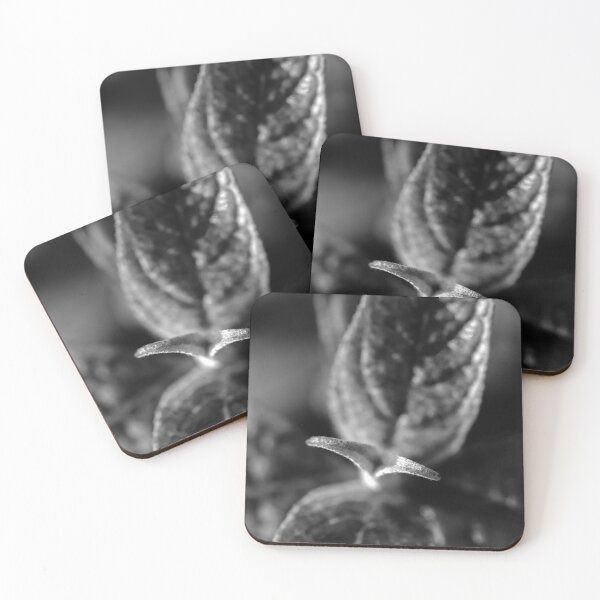 Item preview, Close up Macro Photograph  designed and sold by VnGphoto.