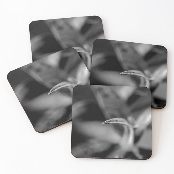 Item preview, Black and White Abstract Plant Photograph designed and sold by VnGphoto.