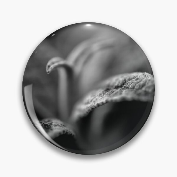 Item preview, Close up macro black and white plant photograph designed and sold by VnGphoto.