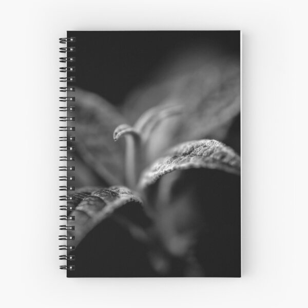 Item preview, Close up macro black and white plant photograph designed and sold by VnGphoto.