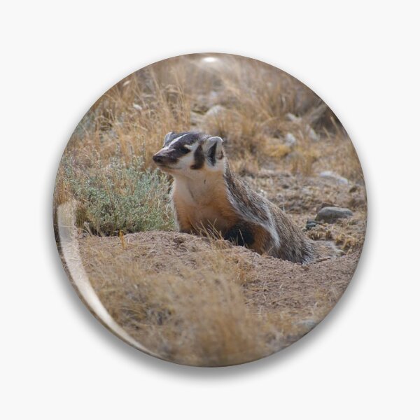 Item preview, American Badger on the Hillside 1 designed and sold by MustelidMayArt.