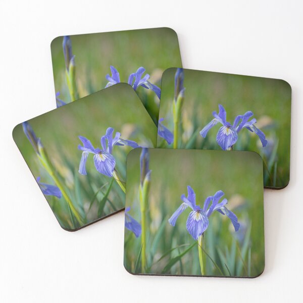 Item preview, Wild Wyoming Iris Flower designed and sold by MustelidMayArt.