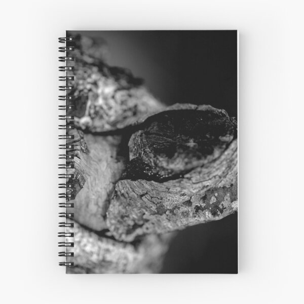 Item preview, Abstract close up of a knot in a tree designed and sold by VnGphoto.