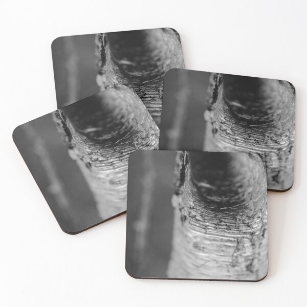 Item preview, Black and White close up of a Silver Birch designed and sold by VnGphoto.