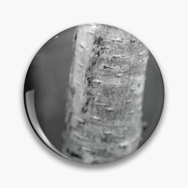 Item preview, Black and White Silver Birch Trunk designed and sold by VnGphoto.