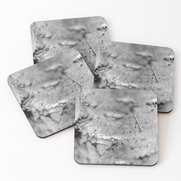 Item preview, Silver Birch Bark up close designed and sold by VnGphoto.