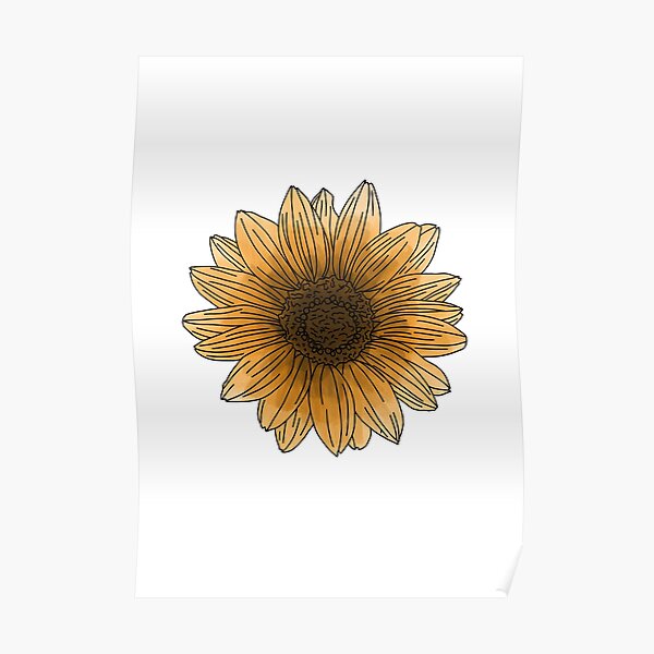 Pósters: Contorno De Girasol | Redbubble