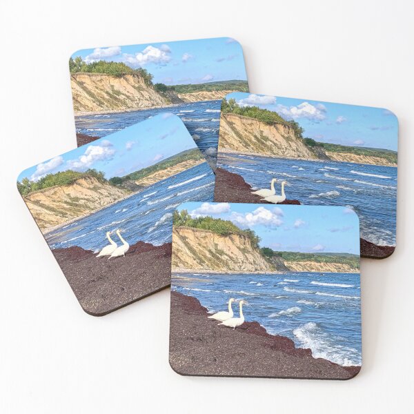 Item preview, Two swans on the coast of Rügen Island, Germany designed and sold by Michael Brewer.