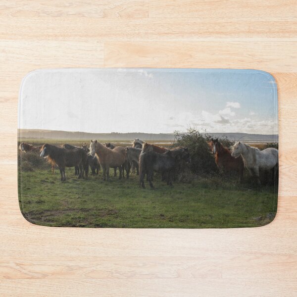 Item preview, Wild horses at sunrise designed and sold by Mike Colwill.