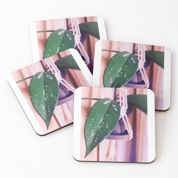 Item preview, Hoya Pubicalyx Splash designed and sold by grdnstplantmom.