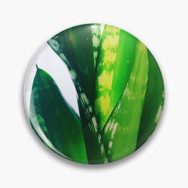 Item preview, Sansevieria Whitney 2 designed and sold by grdnstplantmom.