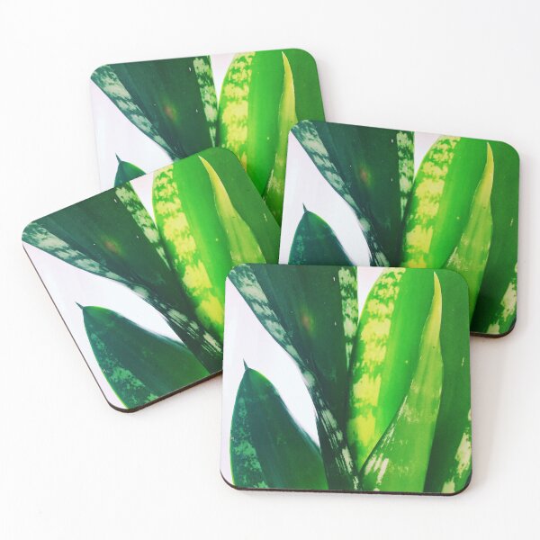 Item preview, Sansevieria Whitney 2 designed and sold by grdnstplantmom.
