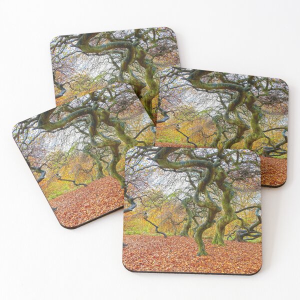 Item preview, Spooky trees in an autumn forest on Rügen Island, Germany designed and sold by Michael Brewer.