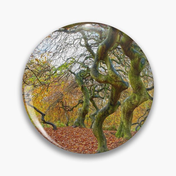 Item preview, Spooky trees in an autumn forest on Rügen Island, Germany designed and sold by Michael Brewer.