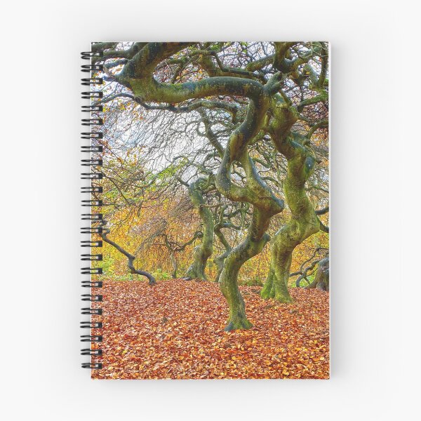 Item preview, Spooky trees in an autumn forest on Rügen Island, Germany designed and sold by Michael Brewer.