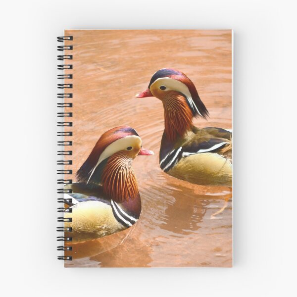 Item preview, Mandarin Ducks designed and sold by BryanDevon.