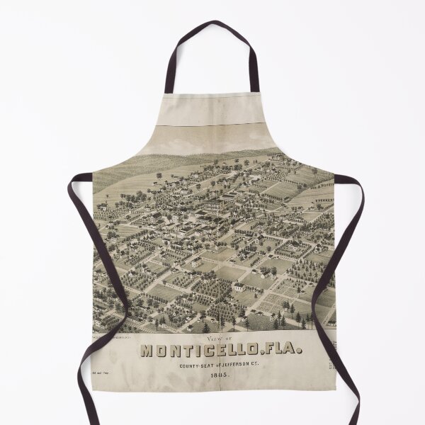 Item preview, Bird's Eye View of Monticello, Florida (1885) designed and sold by allhistory.