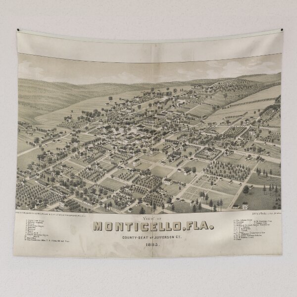 Item preview, Bird's Eye View of Monticello, Florida (1885) designed and sold by allhistory.