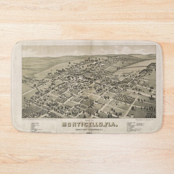 Item preview, Bird's Eye View of Monticello, Florida (1885) designed and sold by allhistory.