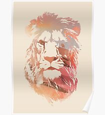 Desert lion Poster