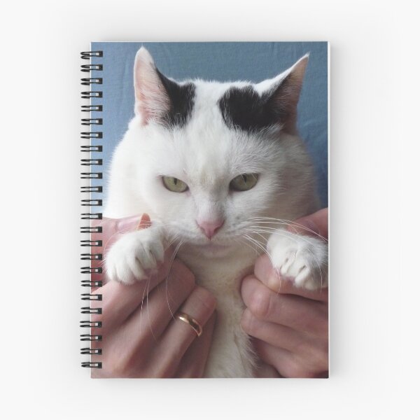 Item preview, Displeased cat designed and sold by Mikhail Zhirnov.