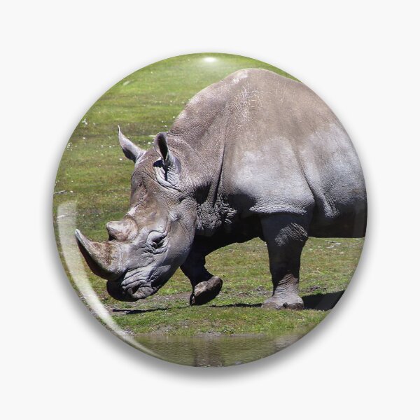 Item preview, Southern White Rhinoceros (1) designed and sold by Phil Le Cren.