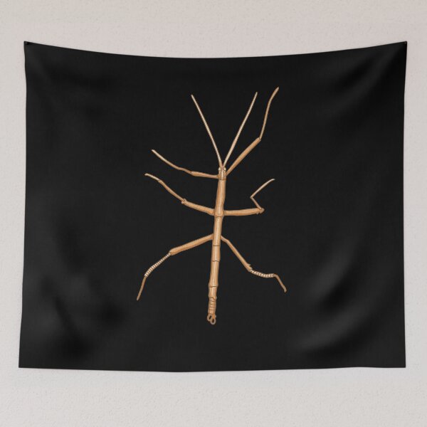 Item preview, Stick insect grasshopper insect design  designed and sold by vodanet.