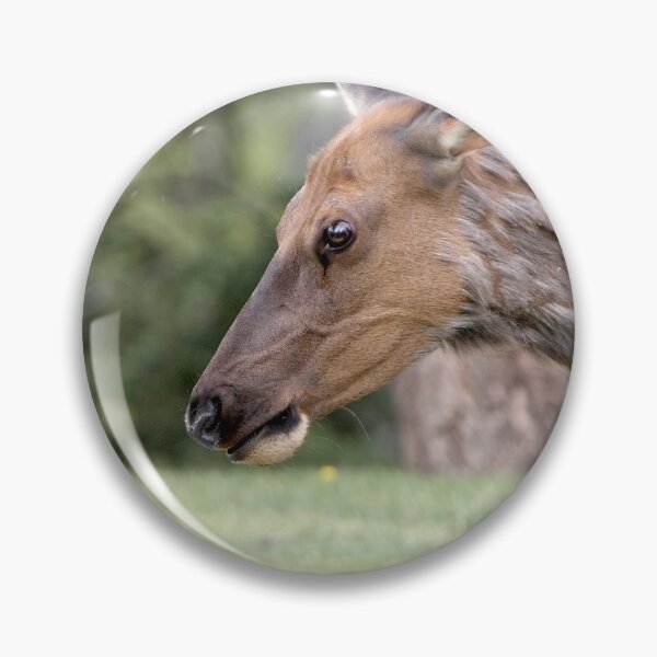 Item preview, ELK........... (rushed entry ........ stage right) designed and sold by Robert Elliott.