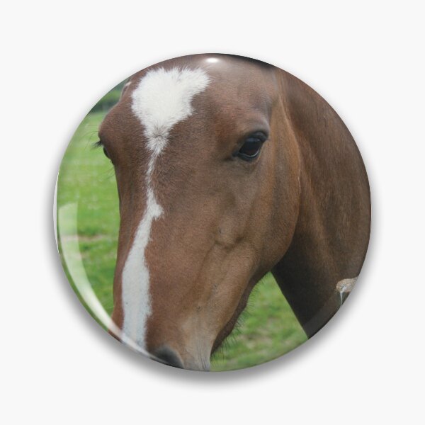 Item preview, Portrait of a cute brown horse designed and sold by Mike Colwill.